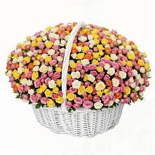 Премиум букет из: Розы #REPLACE_PRED# Плавске