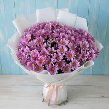 Букет цветов из:  Хризантемы в Плавске