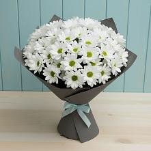 Букет цветов из:  Хризантемы в Плавске