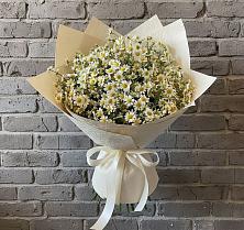 Букет цветов из:  Ромашки в Плавске