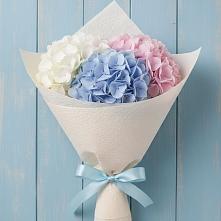 Букет цветов из:  Гортензия #REPLACE_PRED# Плавске