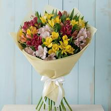Букет цветов из:  Альстромерии в Плавске