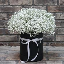 Цветочная композиция из Гипсофила в шляпной коробке в Плавске