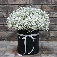 Цветочная композиция из Гипсофила в шляпной коробке в Плавске