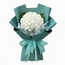 Букет цветов из:  Гортензия в Плавске